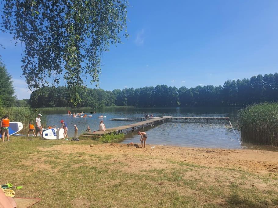 Holenderki Na Zielonych Wzgorzach, Lowyn Exterior foto
