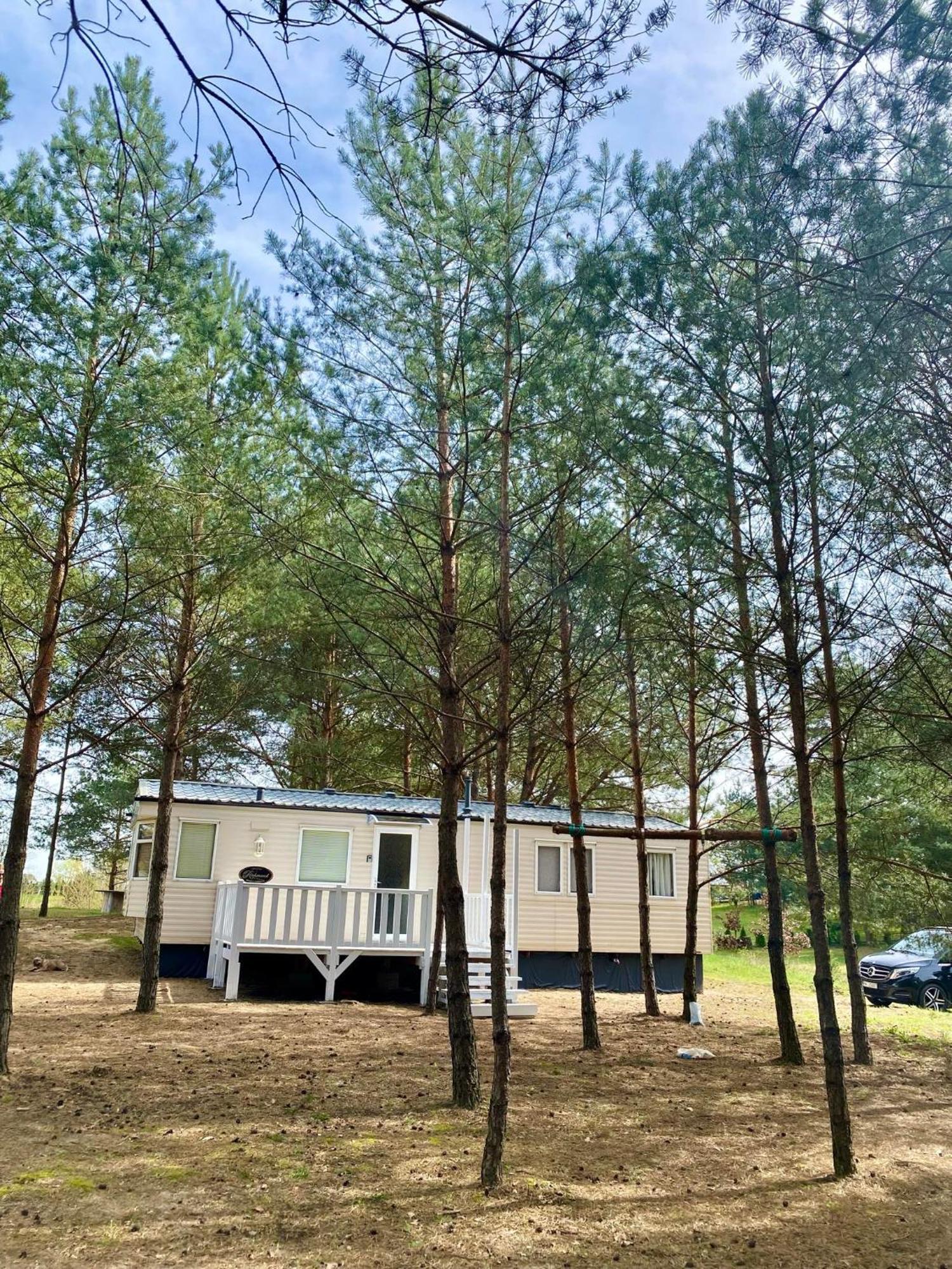 Holenderki Na Zielonych Wzgorzach, Lowyn Exterior foto